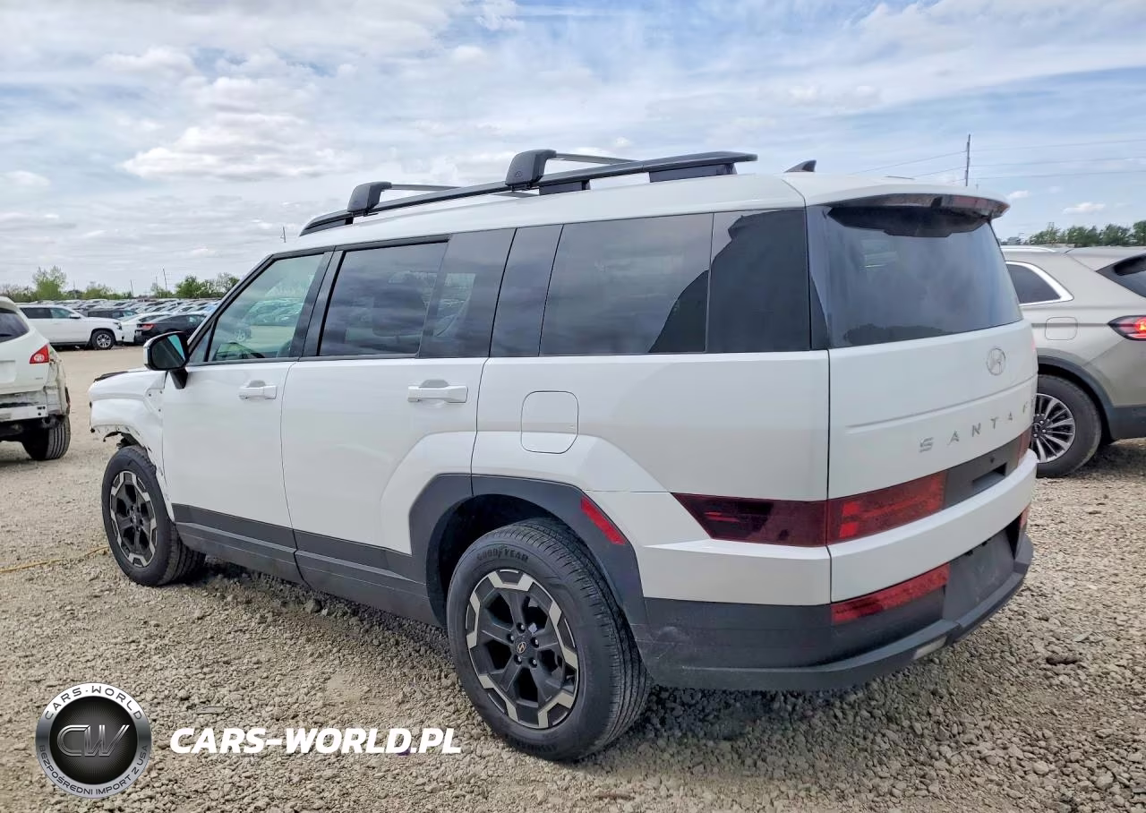 2025 Hyundai Santa Fe Sel VIN:5NMP2DGL3SH099996 - 2