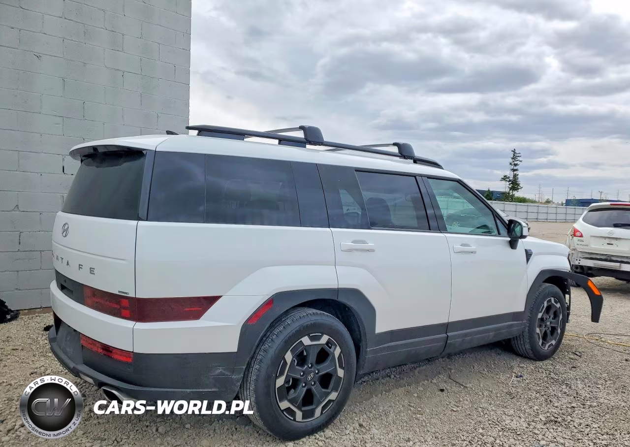 2025 Hyundai Santa Fe Sel VIN:5NMP2DGL3SH099996 - 3