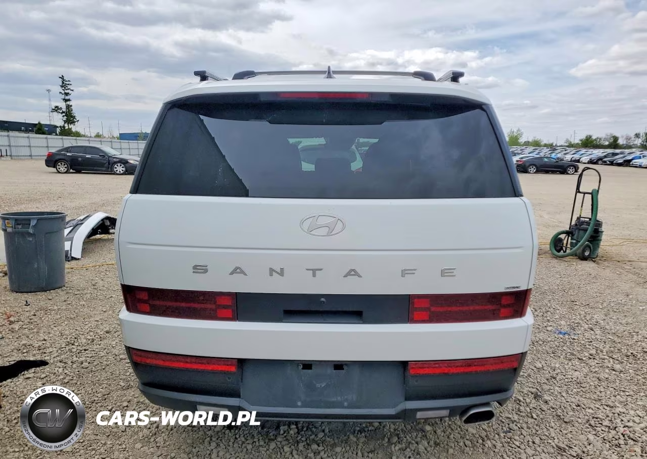 2025 Hyundai Santa Fe Sel VIN:5NMP2DGL3SH099996 - 6