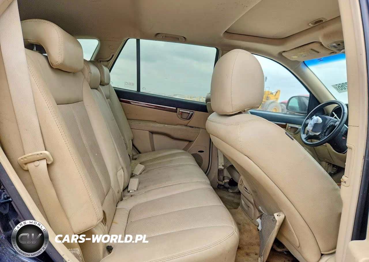2009 Hyundai Santa Fe Limited VIN:5NMSH13E89H301823 - 10