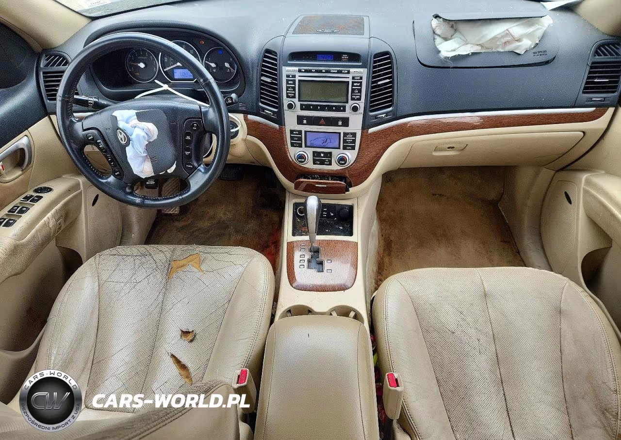 2009 Hyundai Santa Fe Limited VIN:5NMSH13E89H301823 - 8
