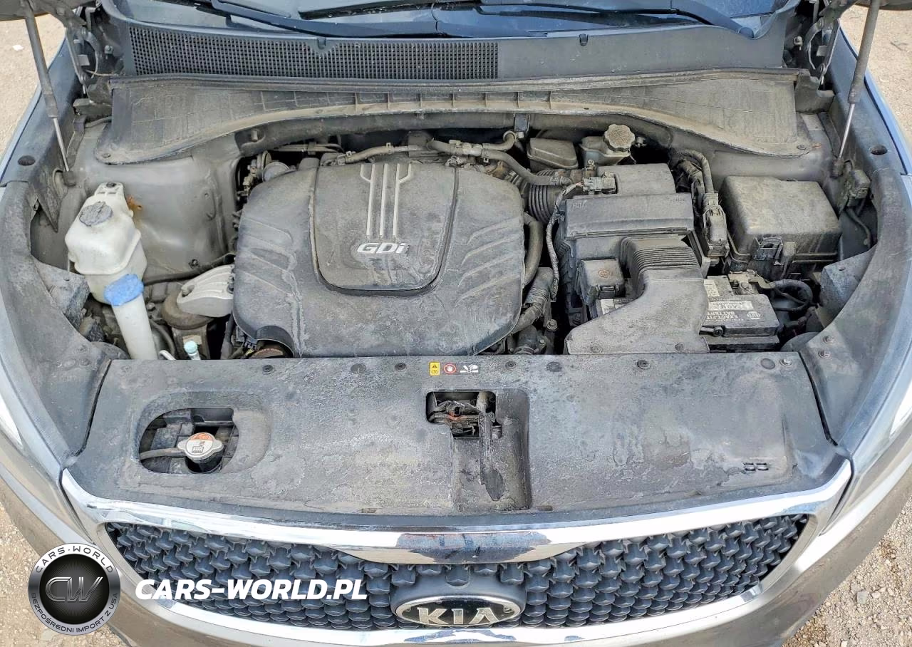 2016 Kia Sorento Lx V6 VIN:5XYPGDA5XGG086112 - 11
