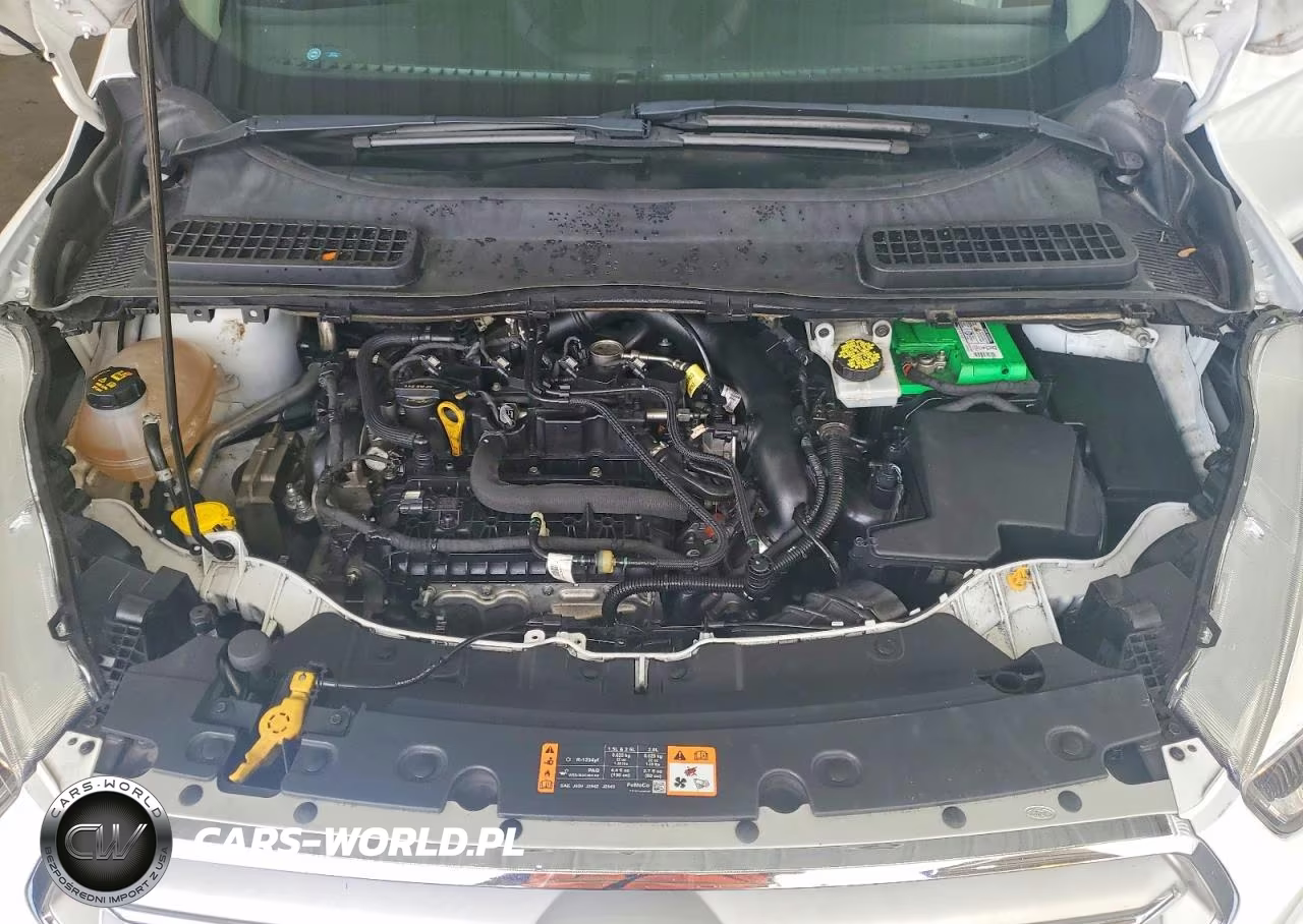 2019 Ford Escape Se VIN:1FMCU0GD5KUC36788 - 12