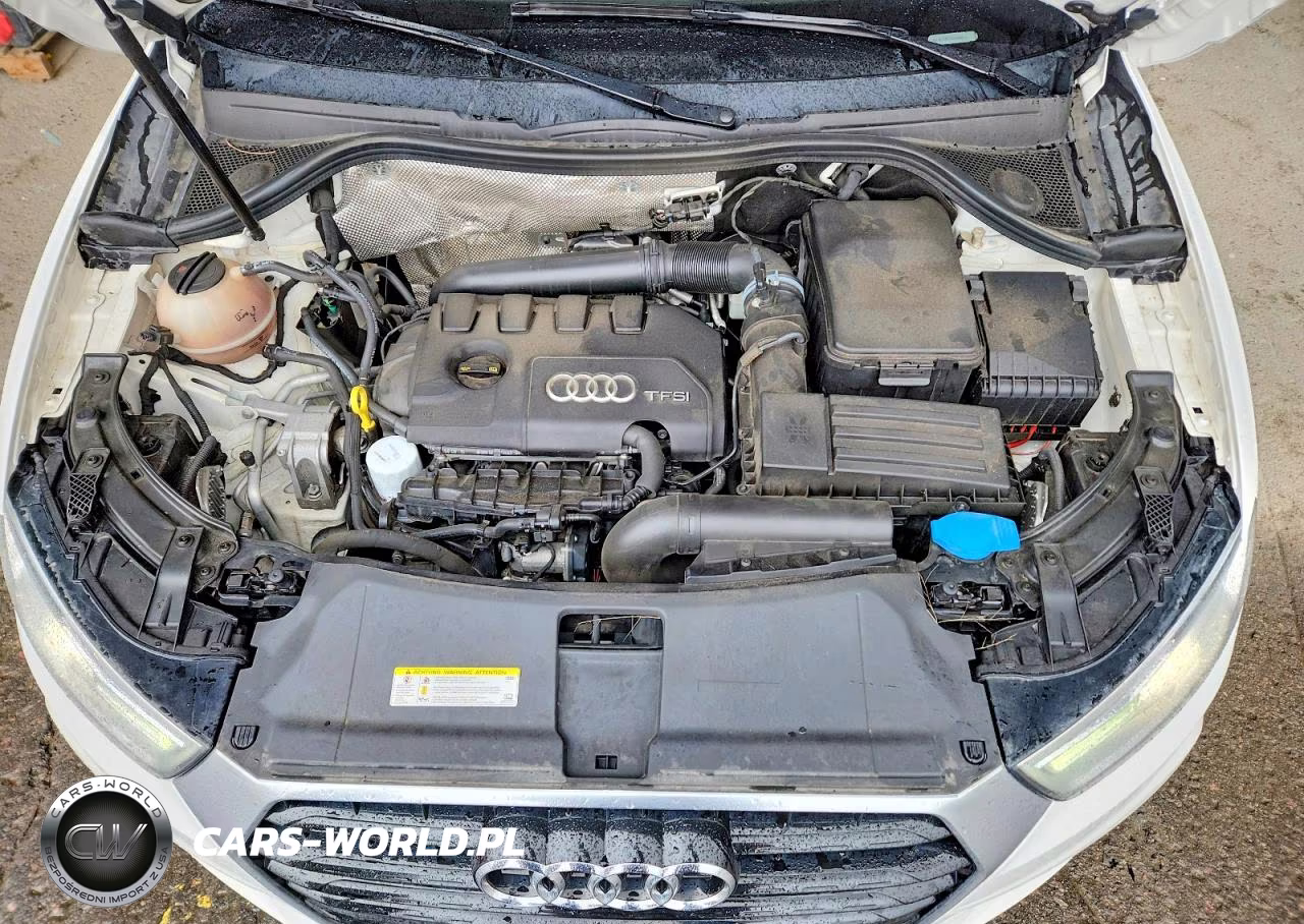 2016 Audi Q3 Premium Plus VIN:WA1EFCFS7GR000513 - 12