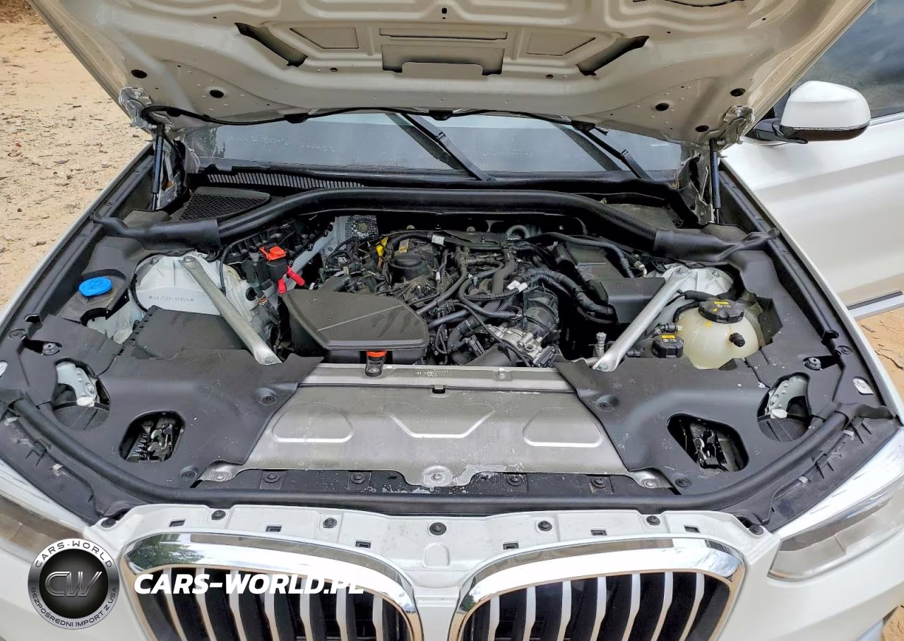 2020 BMW X3 Sdrive30I VIN:5UXTY3C01L9D46076 - 12
