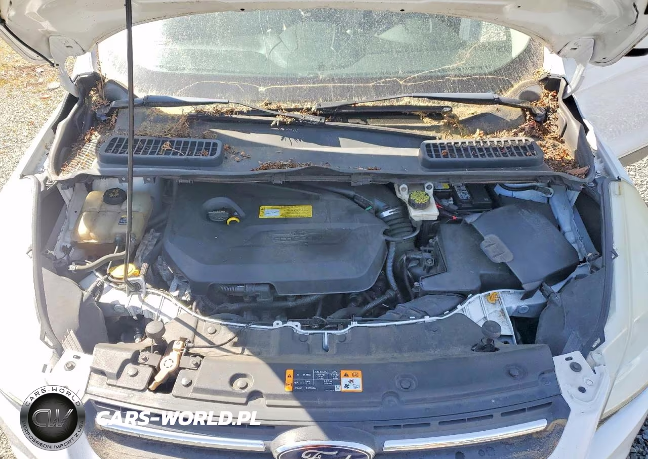 2013 Ford Escape Se VIN:1FMCU9GX1DUB56356 - 12
