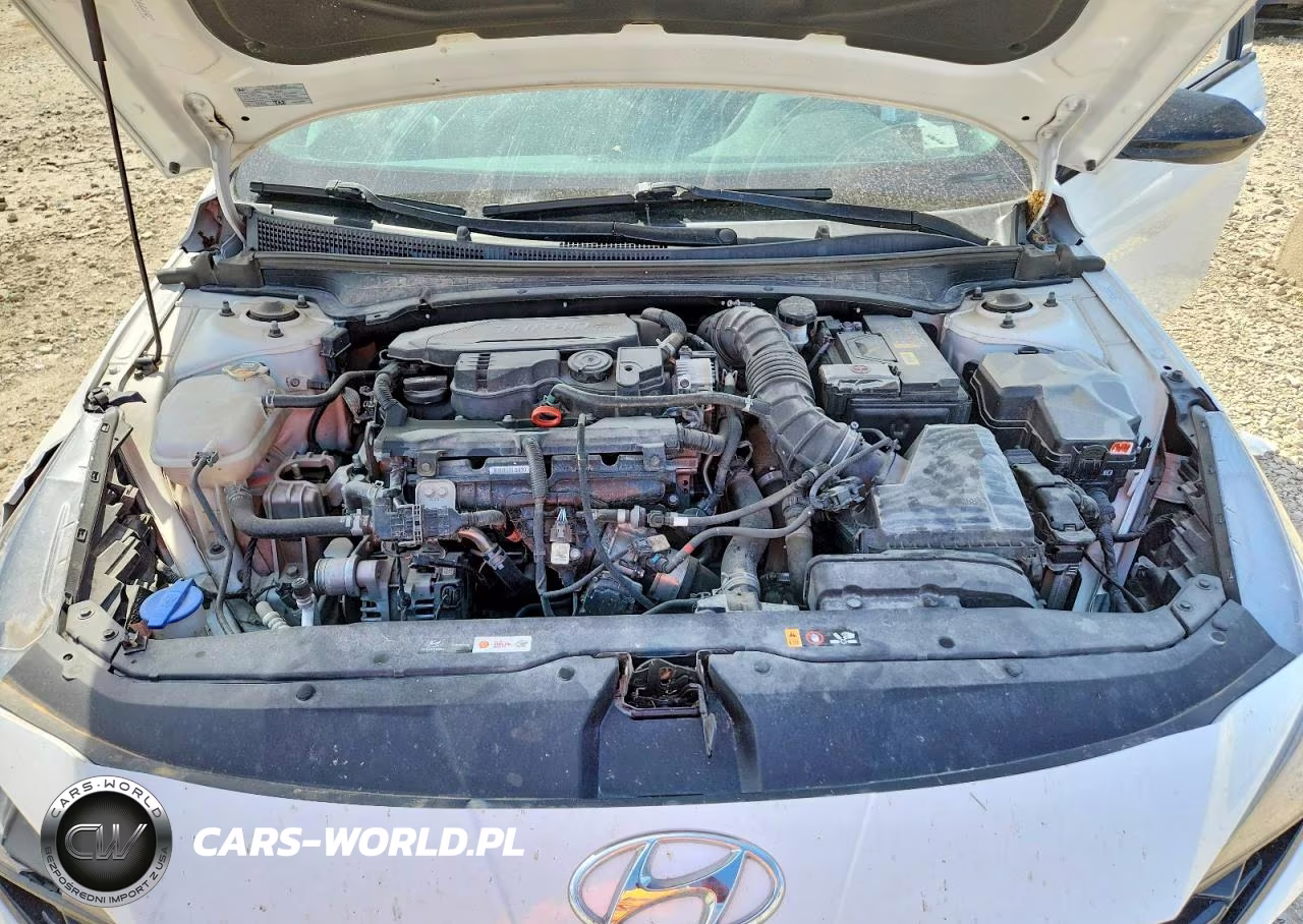2023 Hyundai Elantra N Line VIN:KMHLR4AF0PU587182 - 11