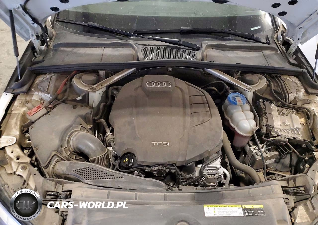 2019 Audi A4 Premium Plus VIN:WAUENAF42KA015665 - 11