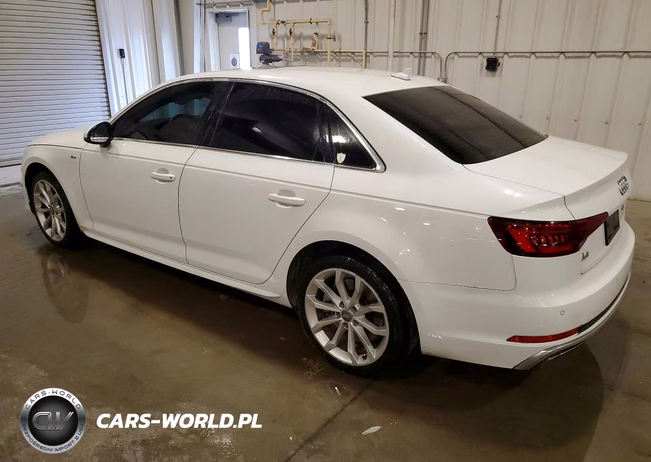 2019 Audi A4 Premium Plus VIN:WAUENAF42KA015665 - 2
