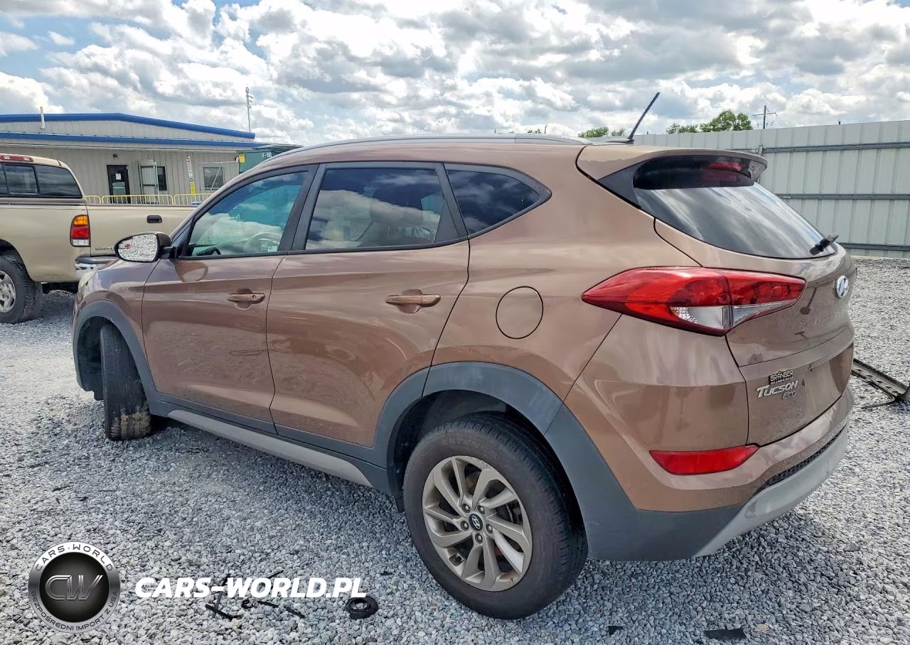 2017 Hyundai Tucson Eco VIN:KM8J33A22HU332888 - 2