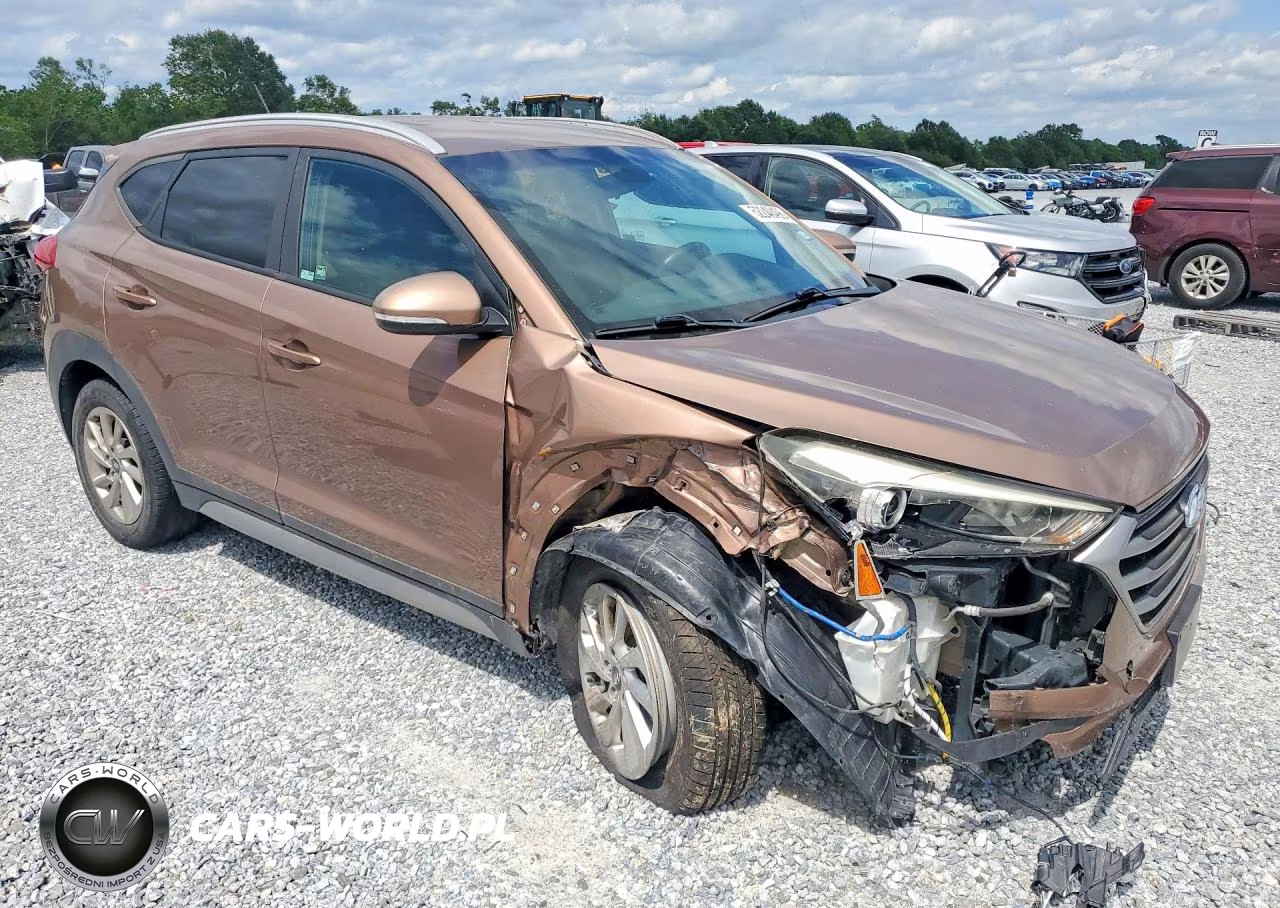 2017 Hyundai Tucson Eco VIN:KM8J33A22HU332888 - 4