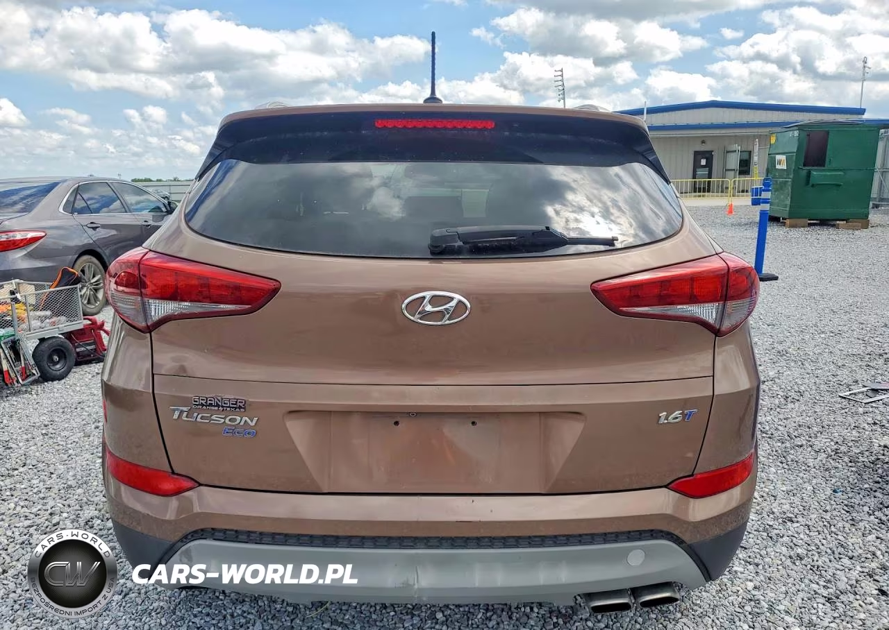 2017 Hyundai Tucson Eco VIN:KM8J33A22HU332888 - 6