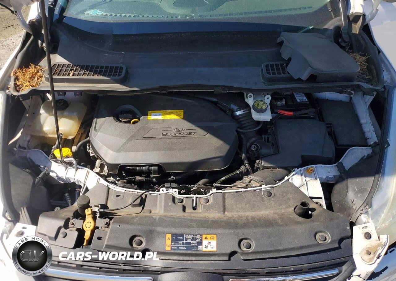 2016 Ford Escape Se VIN:1FMCU0GX2GUC05175 - 12