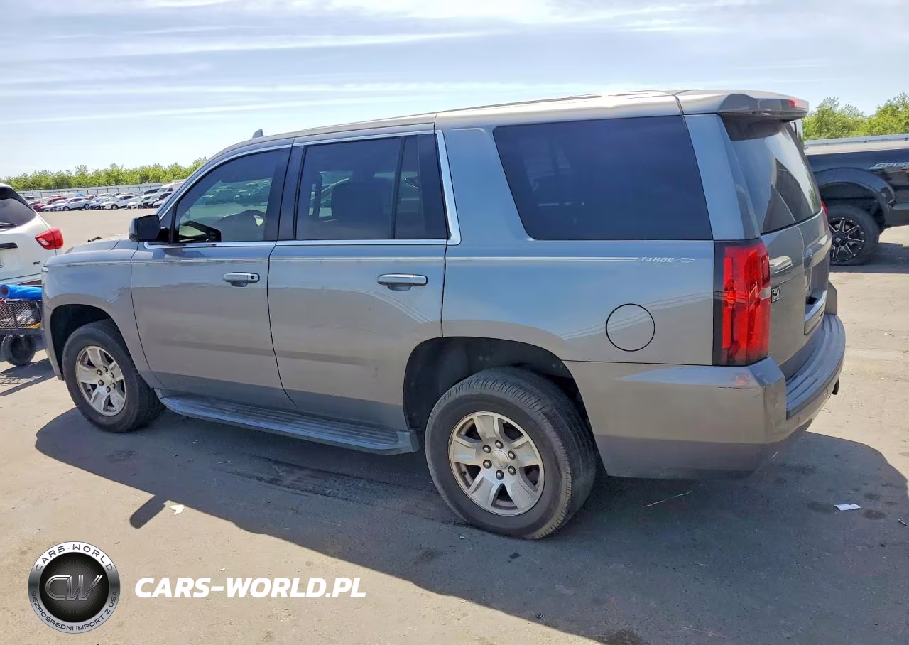 2018 Chevrolet Tahoe Police VIN:1GNSKDEC3JR329759 - 2