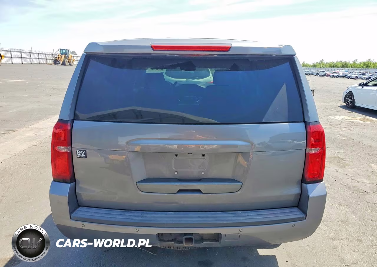 2018 Chevrolet Tahoe Police VIN:1GNSKDEC3JR329759 - 6