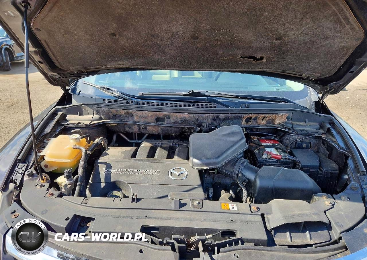 2009 Mazda Cx-9 VIN:JM3TB38V590169928 - 12