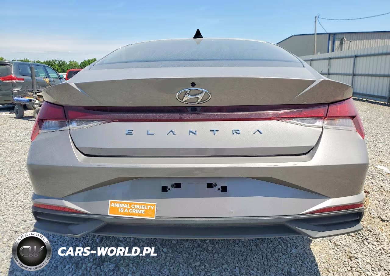 2021 Hyundai Elantra Sel VIN:KMHLM4AG7MU199319 - 6