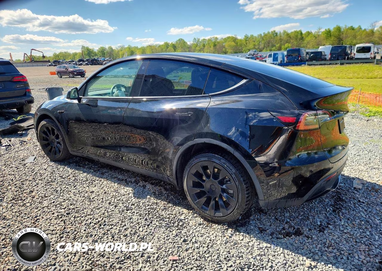 2023 Tesla Model Y VIN:7SAYGDEE5PA127171 - 2