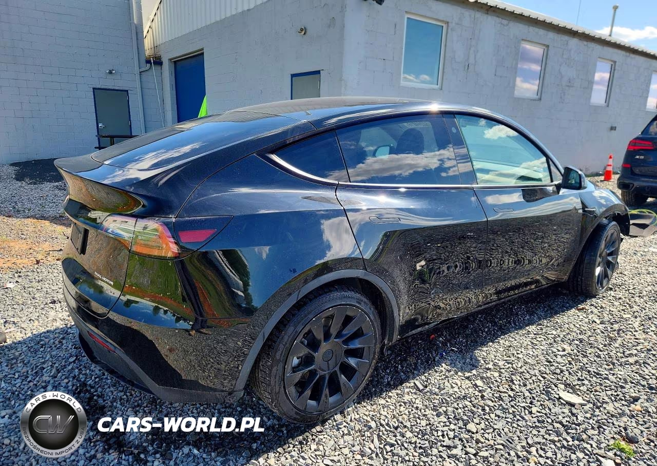 2023 Tesla Model Y VIN:7SAYGDEE5PA127171 - 3