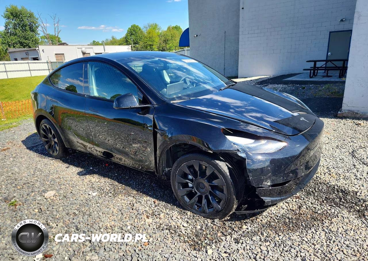 2023 Tesla Model Y VIN:7SAYGDEE5PA127171 - 4