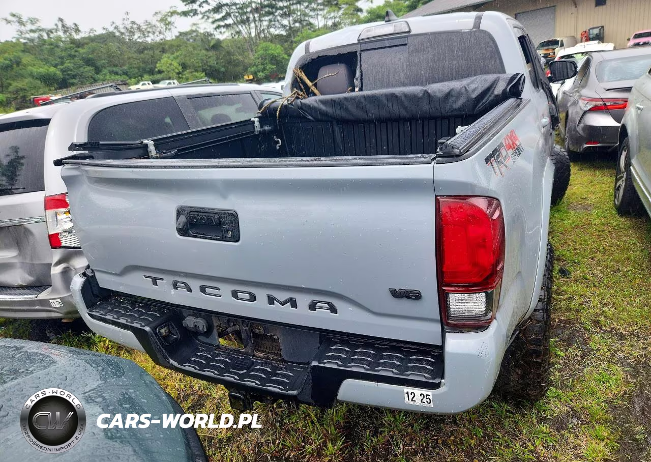 2019 Toyota Tacoma Sr V6 VIN:3TMCZ5AN5KM239666 - 6