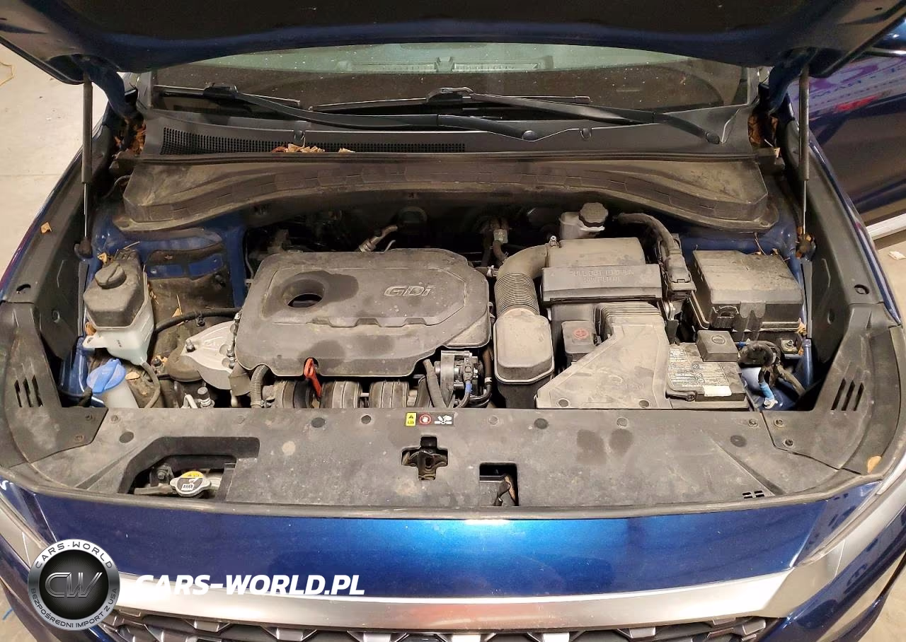 2020 Hyundai Santa Fe Sel VIN:5NMS3CAD6LH201859 - 12