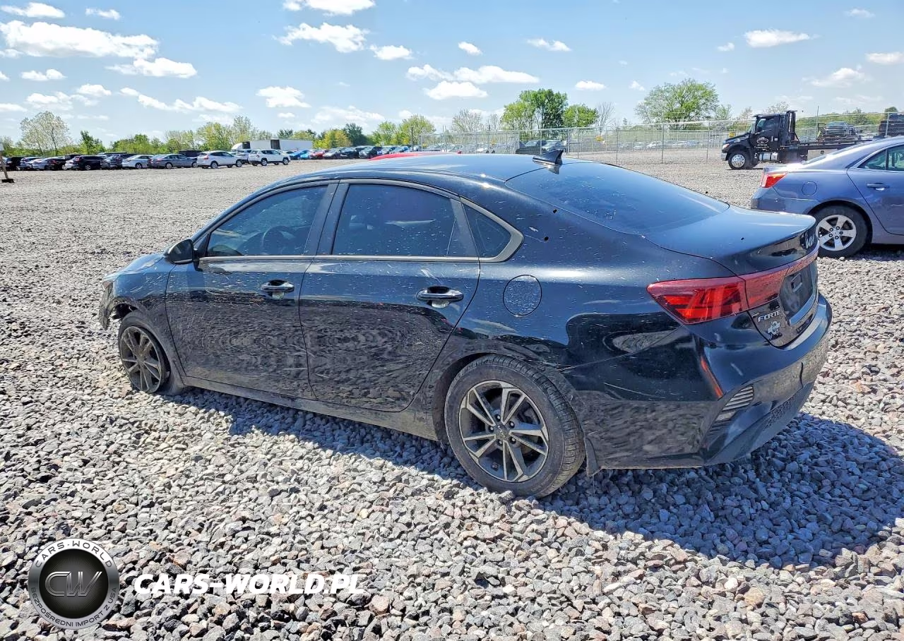 2022 Kia Forte Lxs VIN:3KPF24AD1NE495613 - 2