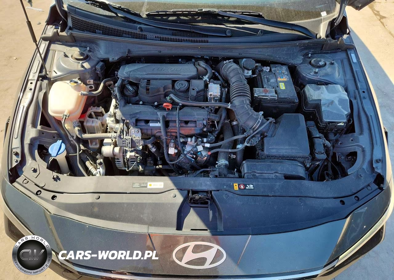 2024 Hyundai Elantra N Line VIN:KMHLR4DF5RU777610 - 11