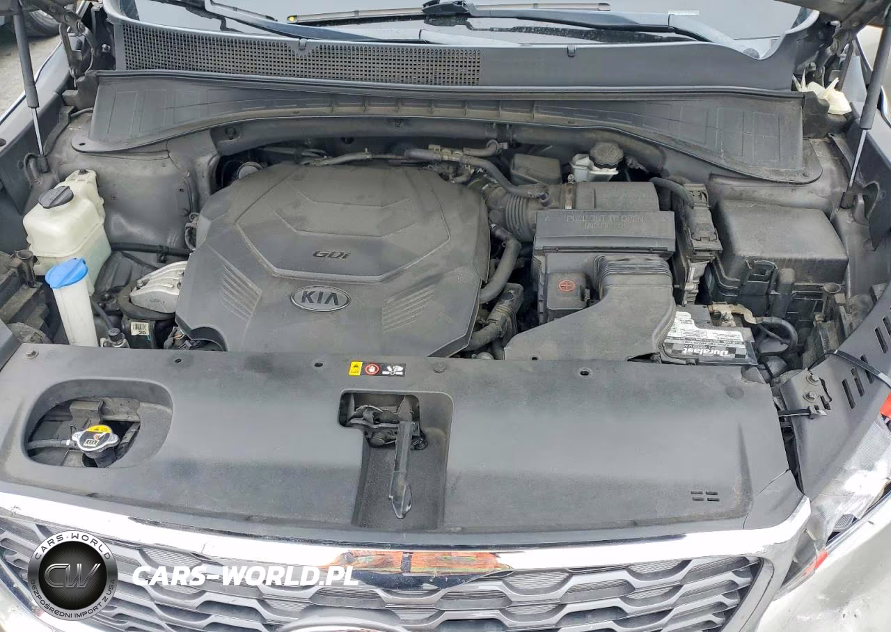 2019 Kia Sorento Ex V6 VIN:5XYPH4A54KG511622 - 12