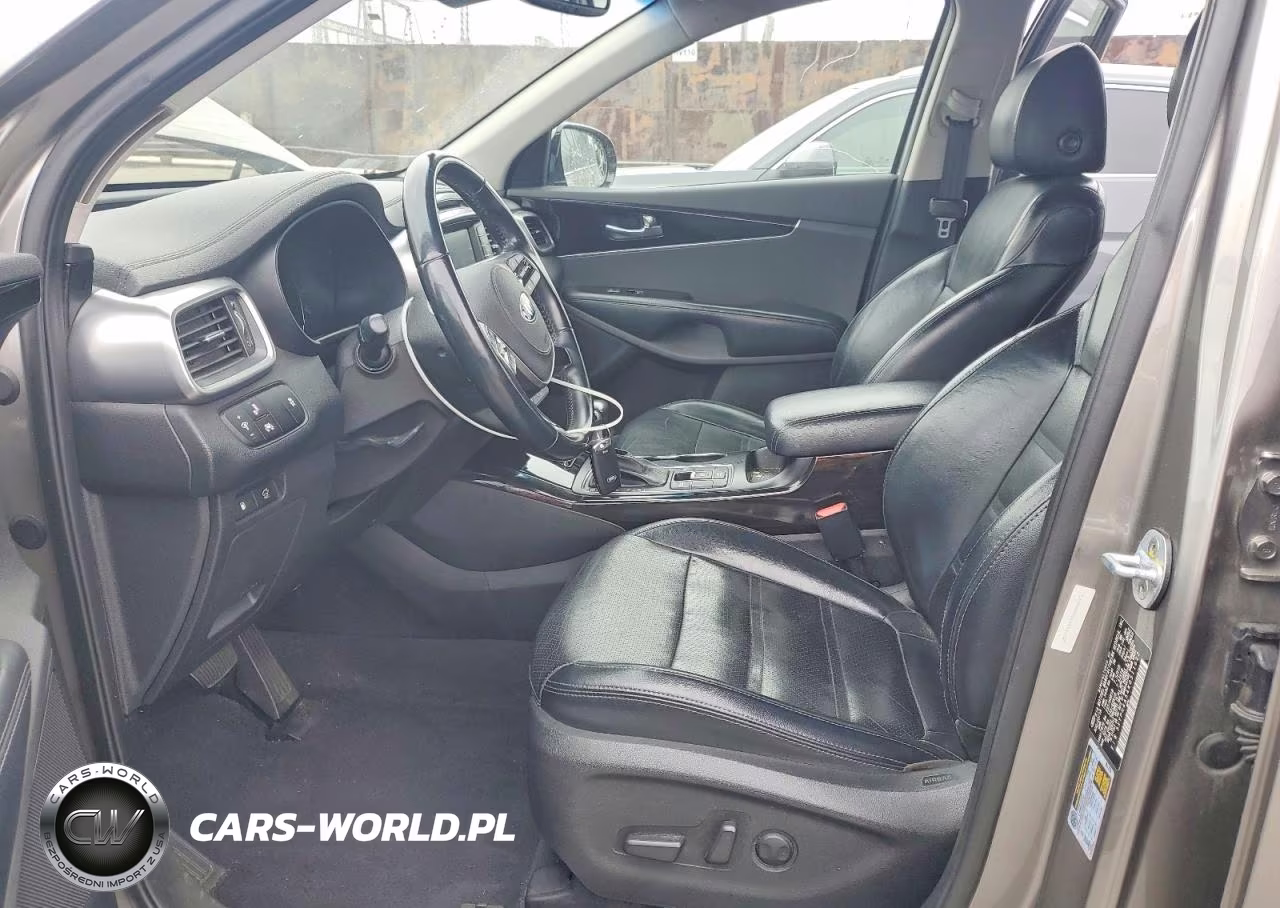 2019 Kia Sorento Ex V6 VIN:5XYPH4A54KG511622 - 7