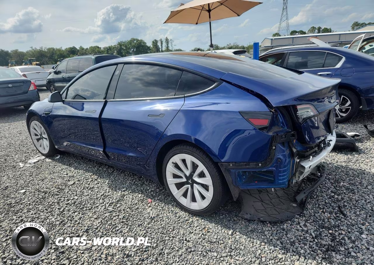 2021 Tesla Model 3 VIN:5YJ3E1EA5MF920607 - 2