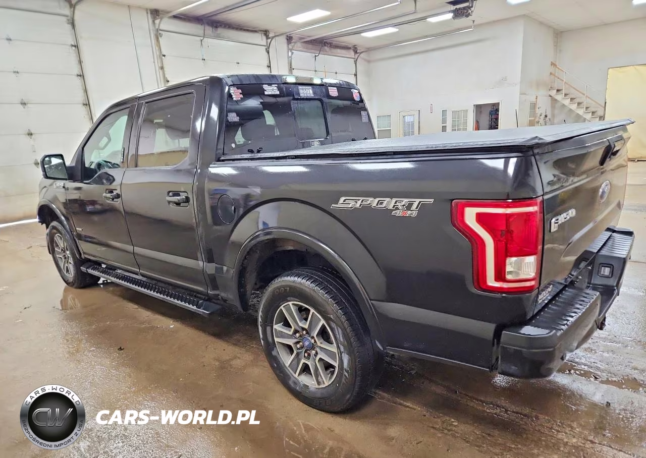 2015 Ford F150 Supercrew VIN:1FTEW1EP8FKD99771 - 2