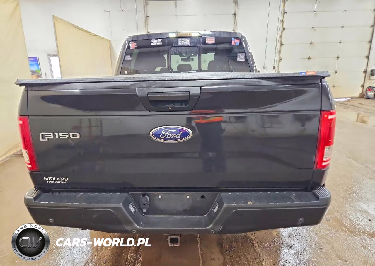 2015 Ford F150 Supercrew VIN:1FTEW1EP8FKD99771 - 6