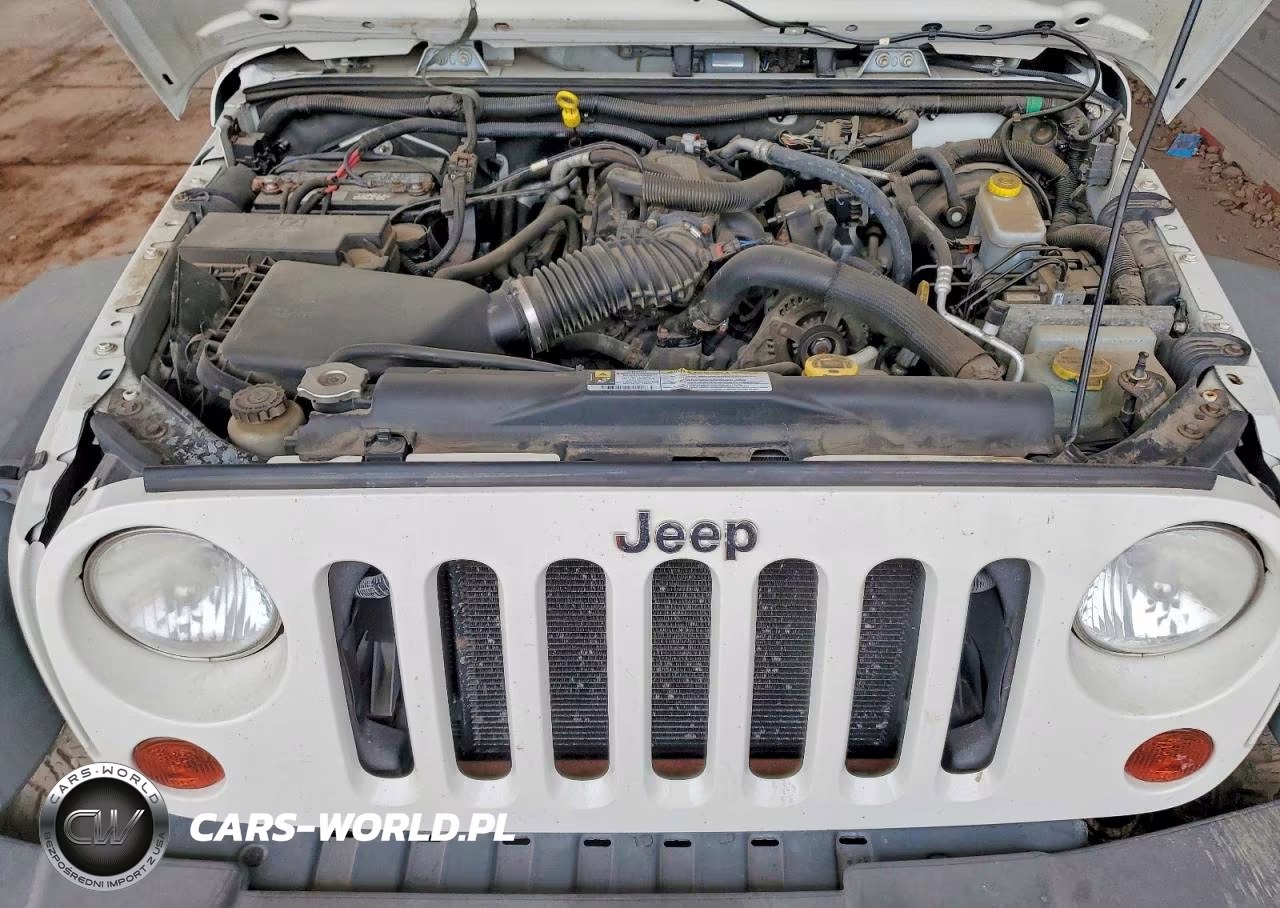 2010 Jeep Wrangler Rubicon VIN:1J4HA6D10AL213966 - 11