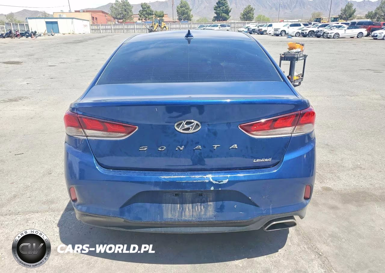 2019 Hyundai Sonata Limited VIN:5NPE34AF6KH779353 - 6
