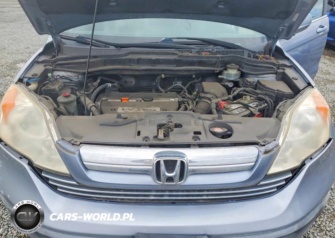 2009 Honda Cr-V Exl VIN:JHLRE38769C005617 - 12