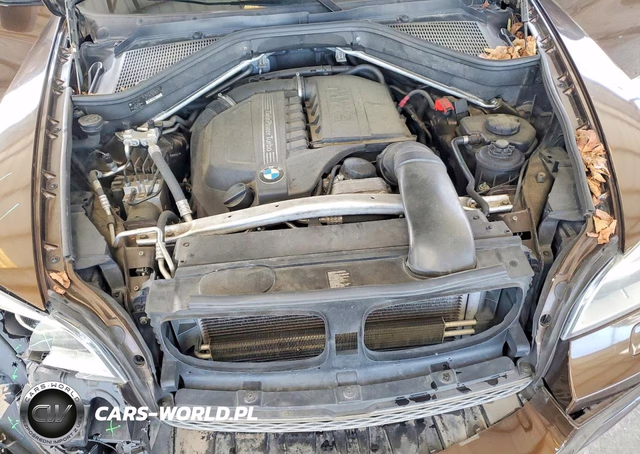 2014 BMW X6 xDrive35I VIN:5UXFG2C51E0H09585 - 11