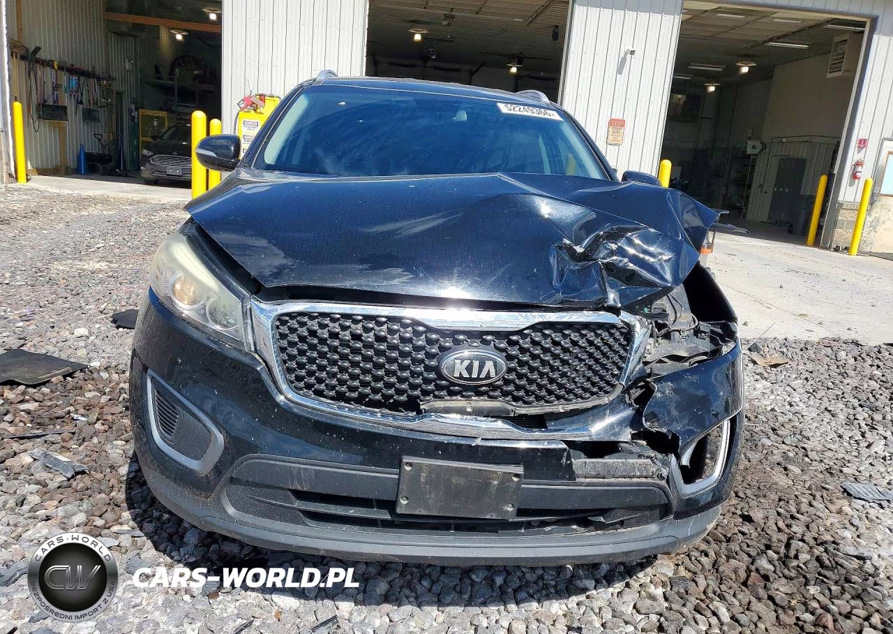 2016 Kia Sorento Lx VIN:5XYPG4A34GG086377 - 5