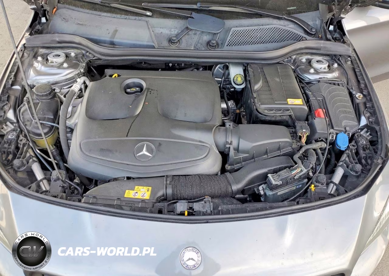 2014 Mercedes-Benz Cla 250 VIN:WDDSJ4EB8EN031374 - 11