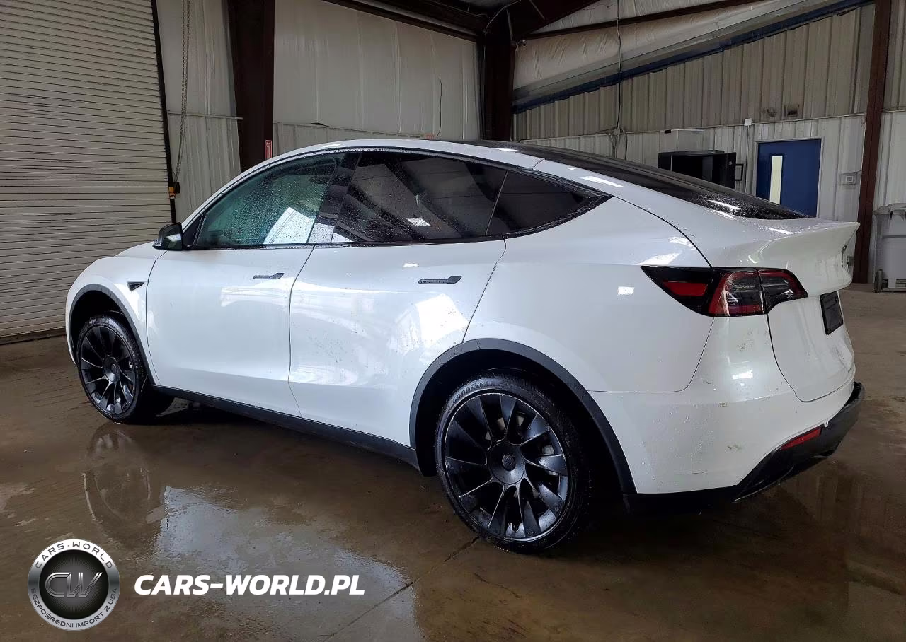 2023 Tesla Model Y VIN:7SAYGDEE7PF896256 - 2