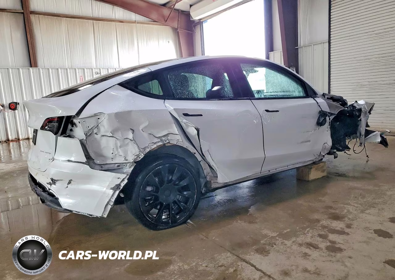 2023 Tesla Model Y VIN:7SAYGDEE7PF896256 - 3