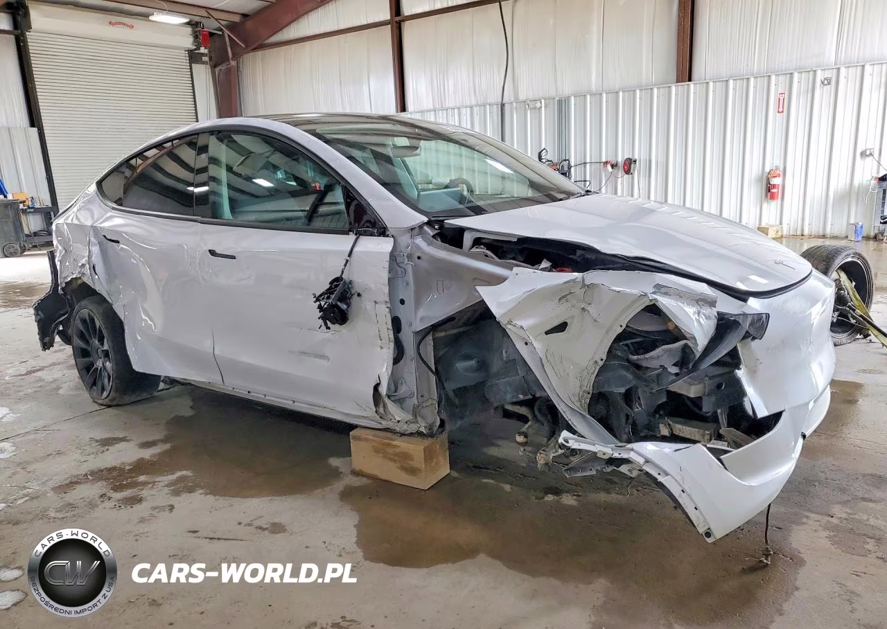 2023 Tesla Model Y VIN:7SAYGDEE7PF896256 - 4