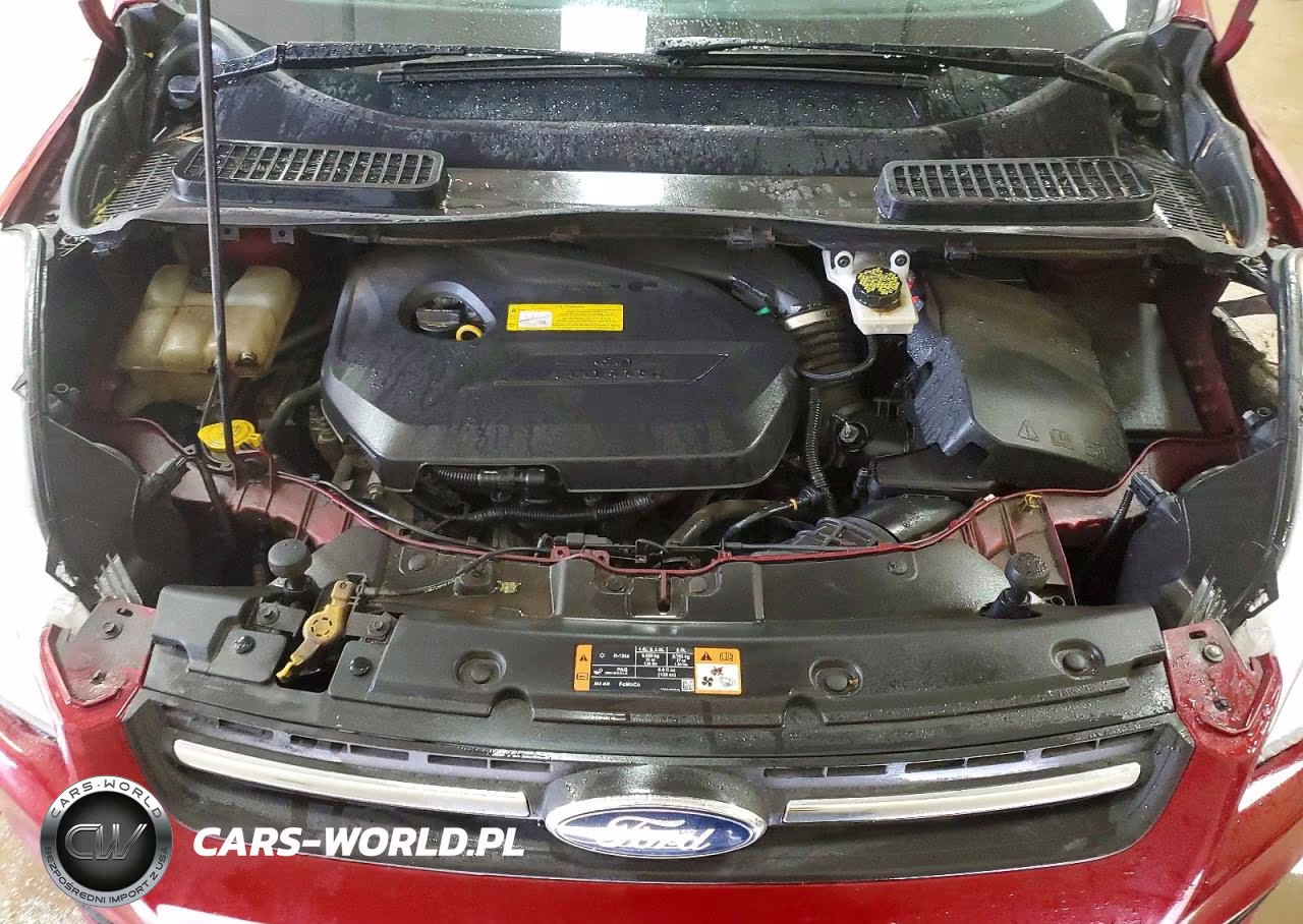 2016 Ford Escape Se VIN:1FMCU9GX5GUA83383 - 12