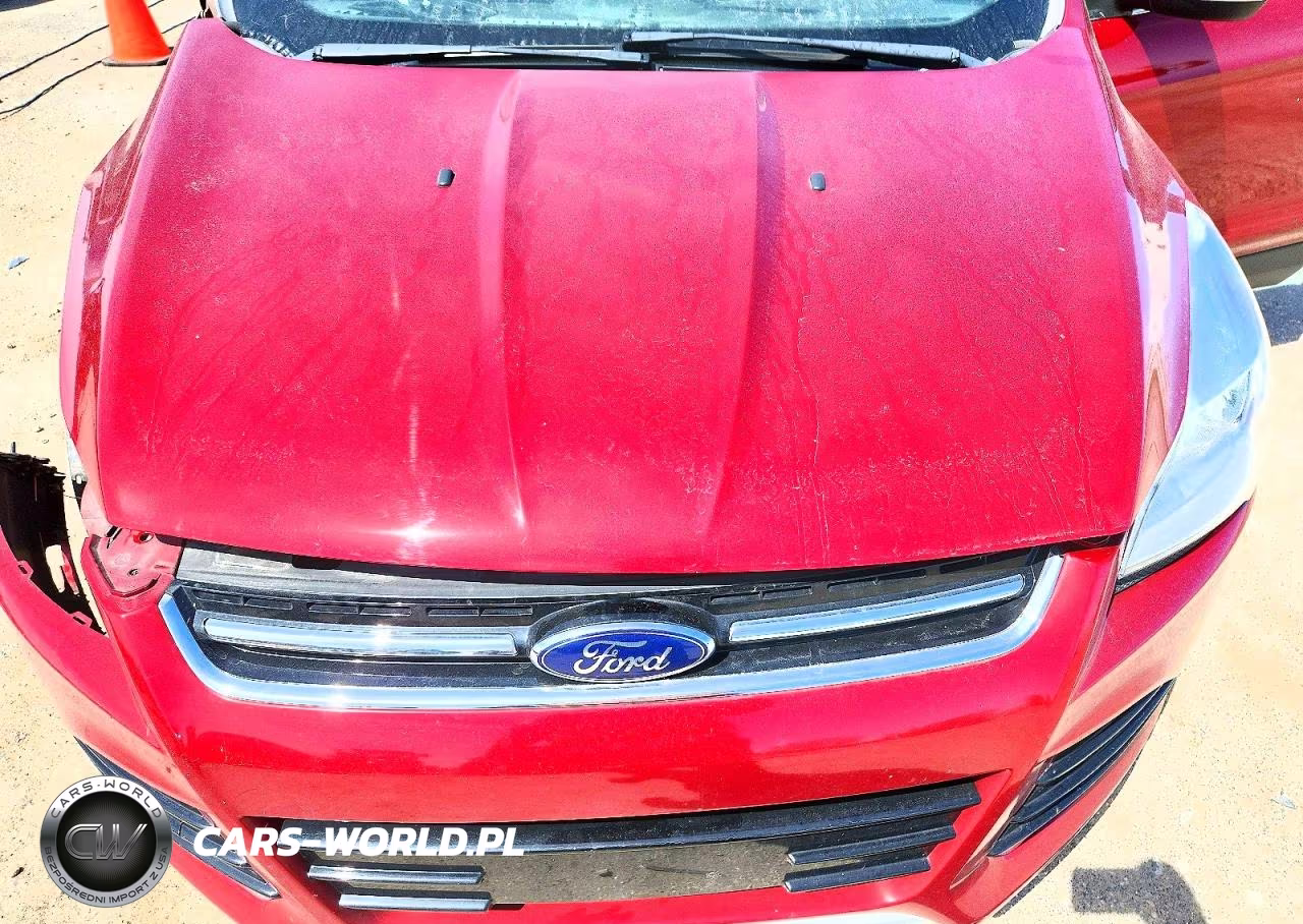 2013 Ford Escape Sel VIN:1FMCU0HX8DUD35570 - 12