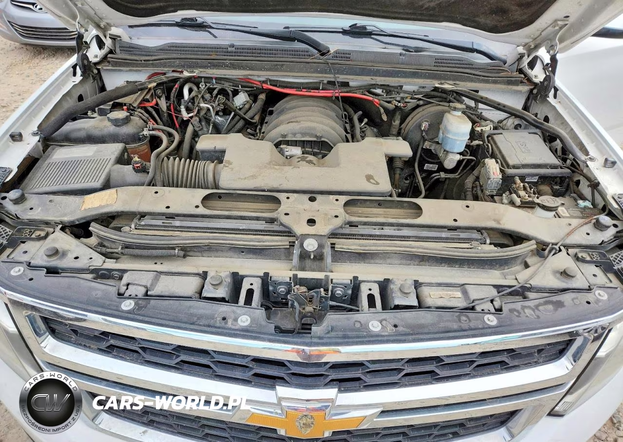2019 Chevrolet Tahoe Police VIN:1GNSKDEC3KR353755 - 12