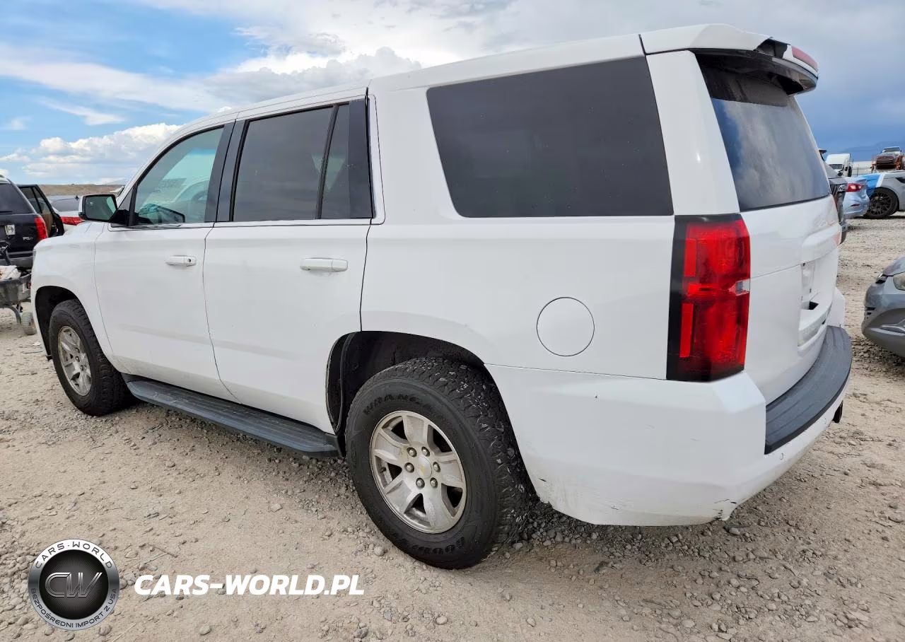 2019 Chevrolet Tahoe Police VIN:1GNSKDEC3KR353755 - 2
