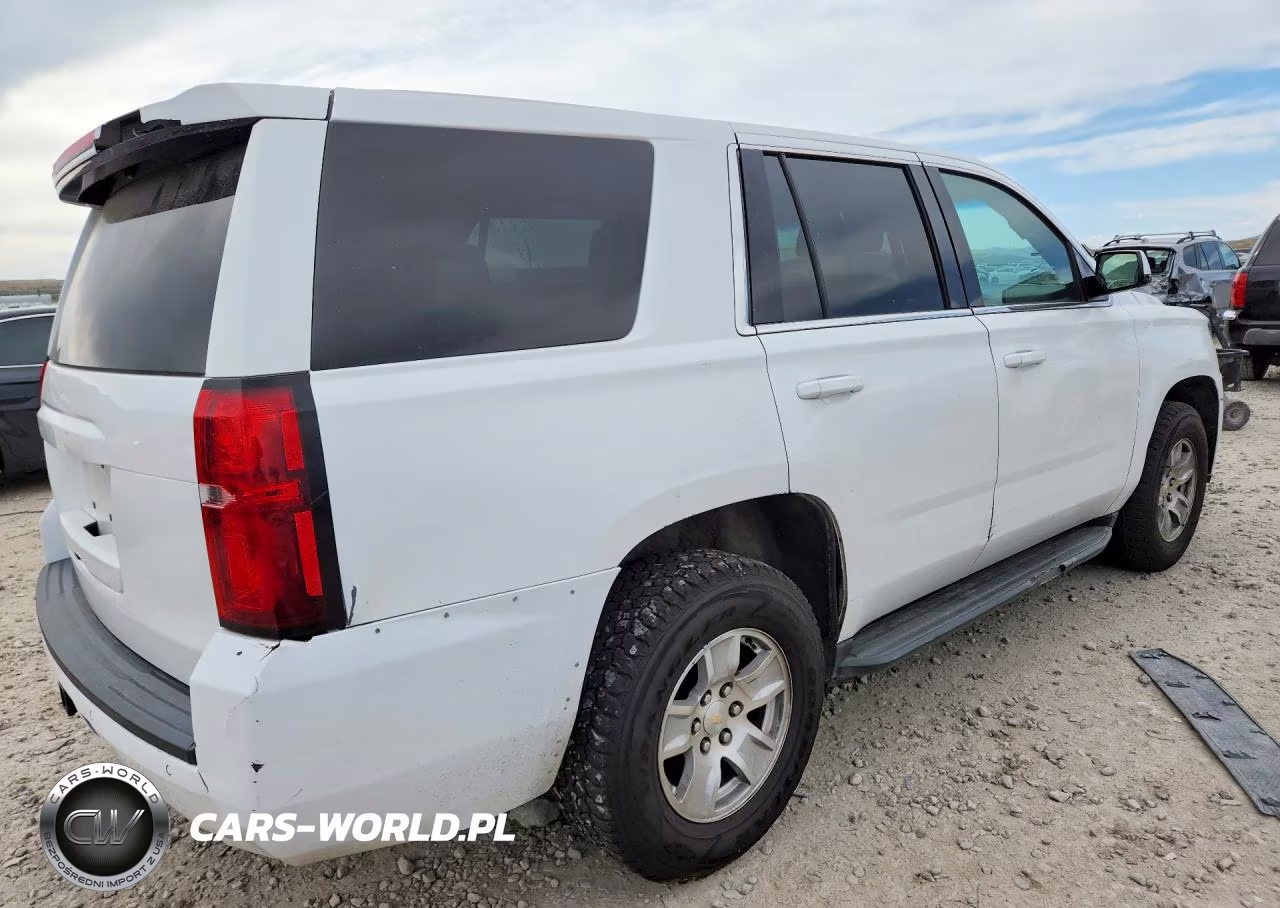 2019 Chevrolet Tahoe Police VIN:1GNSKDEC3KR353755 - 3