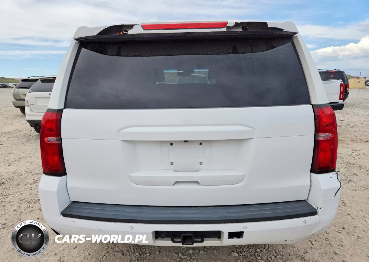 2019 Chevrolet Tahoe Police VIN:1GNSKDEC3KR353755 - 6