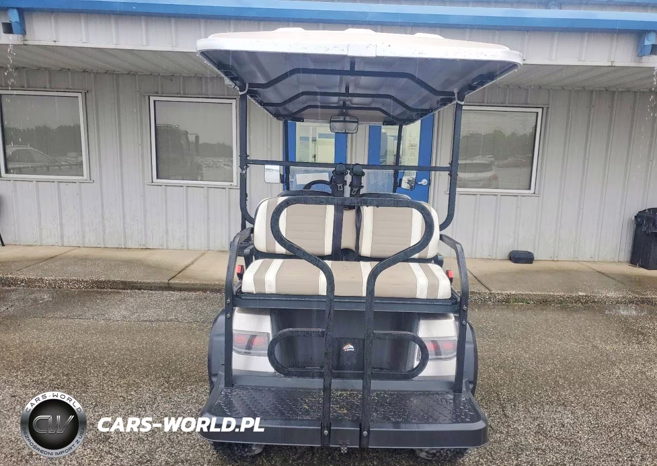 2023 Aetric Golf Cart VIN:1H9AE43S6PA666235 - 10