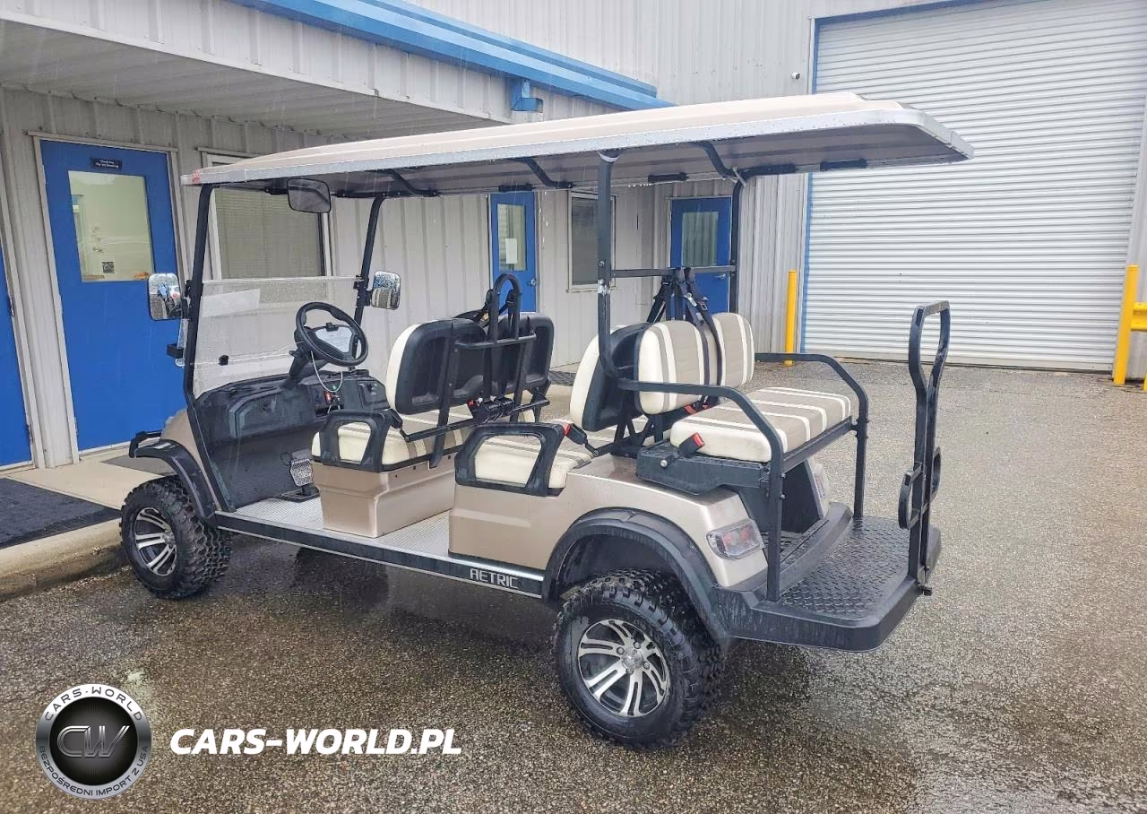 2023 Aetric Golf Cart VIN:1H9AE43S6PA666235 - 3